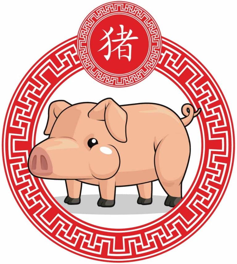 chinese zodiac-pig