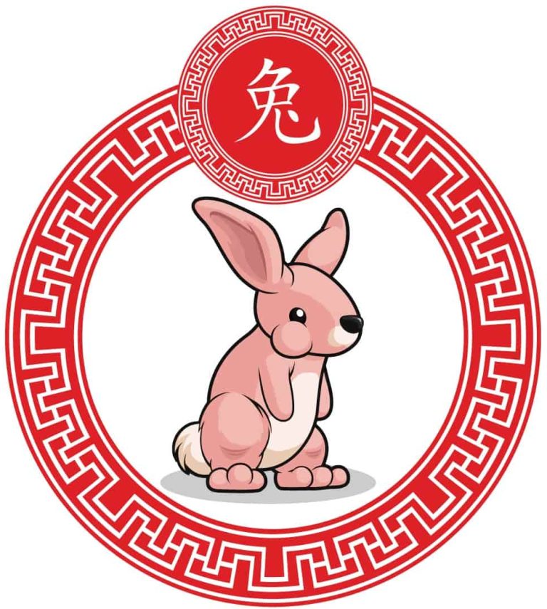 chinese zodiac-rabbit