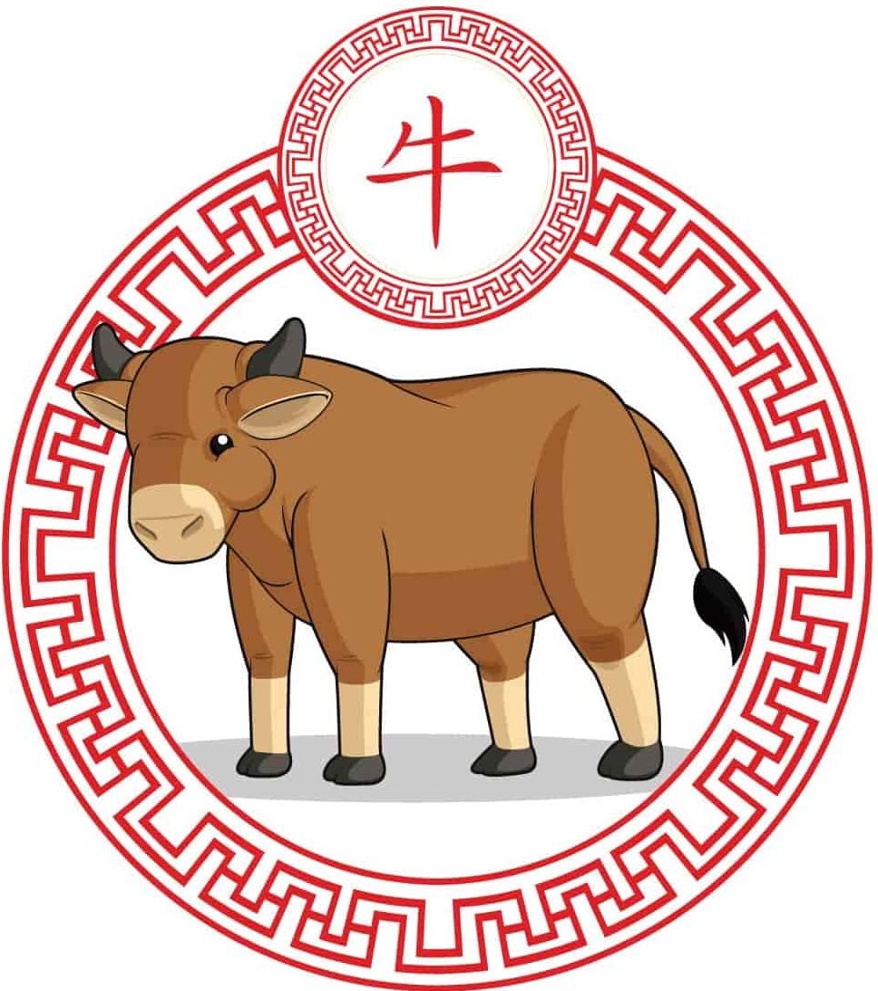 chinese zodiac——OX
